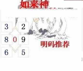 24145期: 白老3D杀码图版