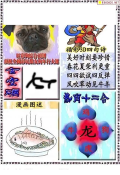 福彩3D 26061期佐罗图一掌经预测图