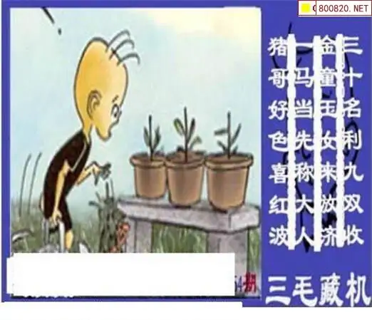 25154期: 三毛3D精品图谜