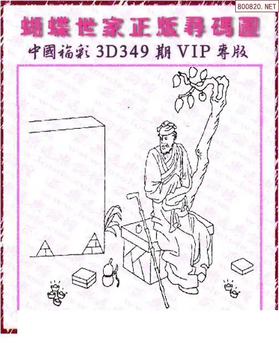 25349期: 3D蝴蝶世家蝴蝶彩图