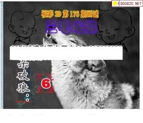 25176期: 三毛3D精品图谜