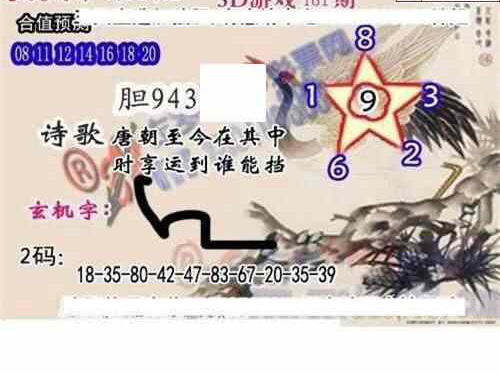 24181期: 白老3D杀码图版