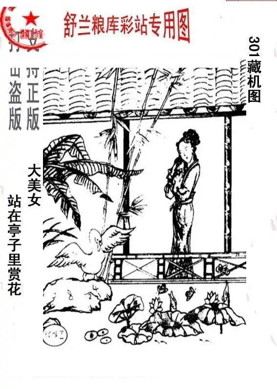 25301期: 老村长福彩3D天天图谜