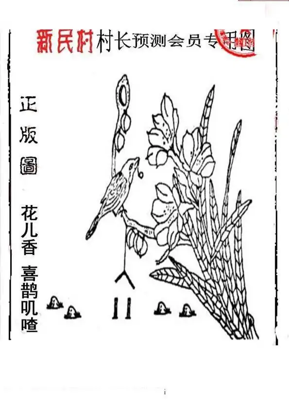 25213期: 老村长福彩3D天天图谜