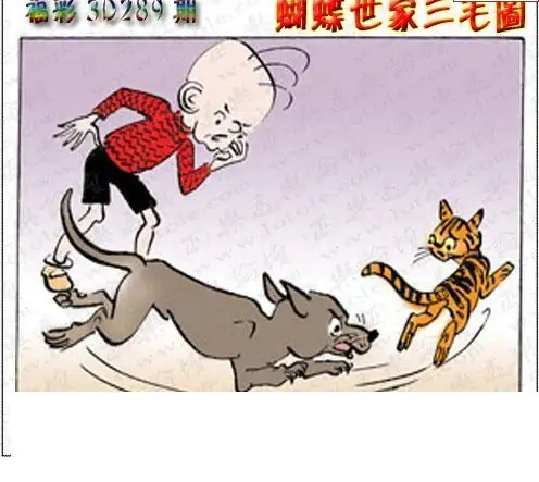 25289期: 3D蝴蝶世家蝴蝶彩图