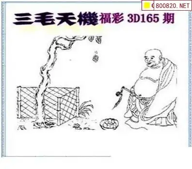 25165期: 三毛3D精品图谜