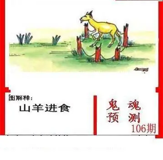 26106期: 白老3D杀码图版