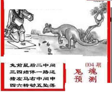 25004期: 三毛3D精品图谜