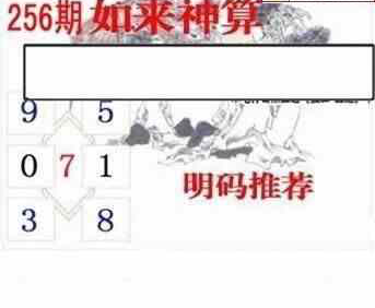 24256期: 白老3D杀码图版