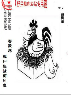 25317期: 老村长福彩3D天天图谜