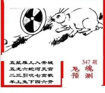 25347期: 三毛3D精品图谜