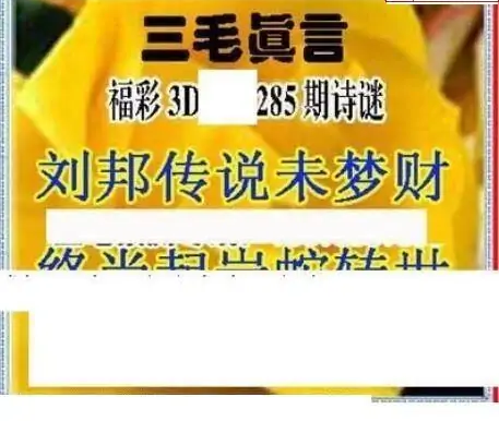 25285期: 三毛3D精品图谜