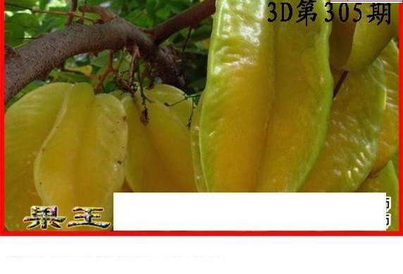 24305期: 白老3D杀码图版