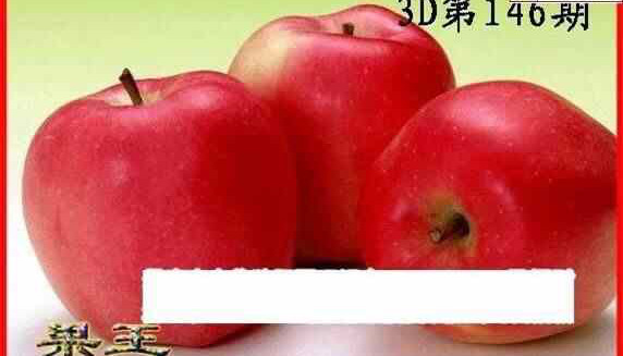 24146期: 白老3D杀码图版