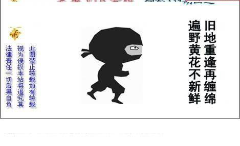 24339期: 白老3D杀码图版