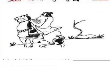 26103期: 三毛3D精品图谜