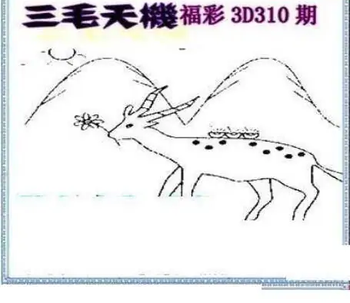 25310期: 三毛3D精品图谜