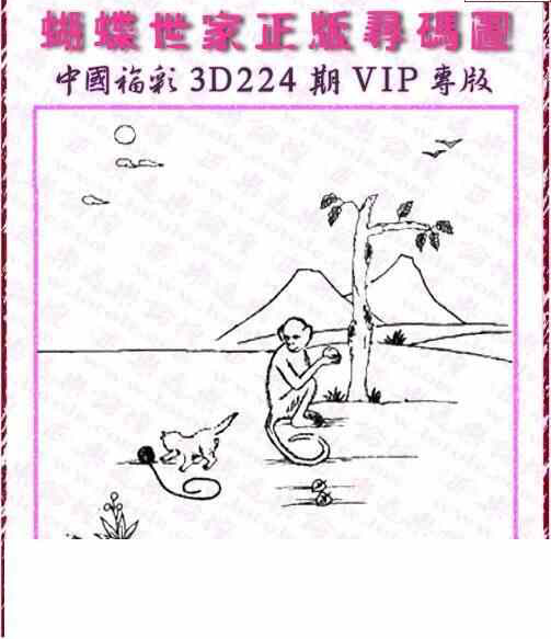 24224期: 3D蝴蝶世家蝴蝶彩图