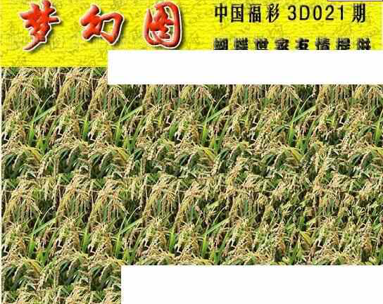 25021期: 3D蝴蝶世家蝴蝶彩图