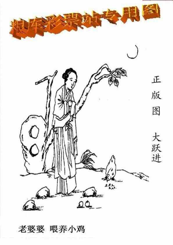 25054期: 老村长福彩3D天天图谜