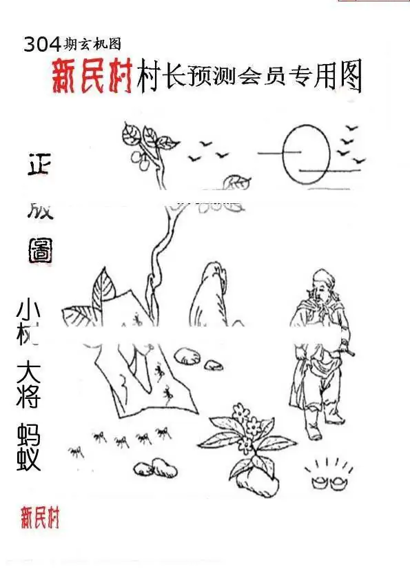 25304期: 老村长福彩3D天天图谜