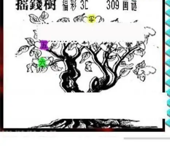 25309期: 三毛3D精品图谜