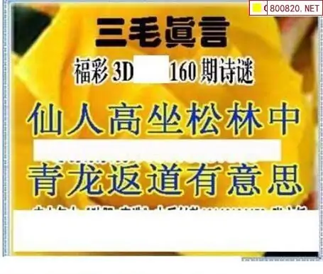 25160期: 三毛3D精品图谜