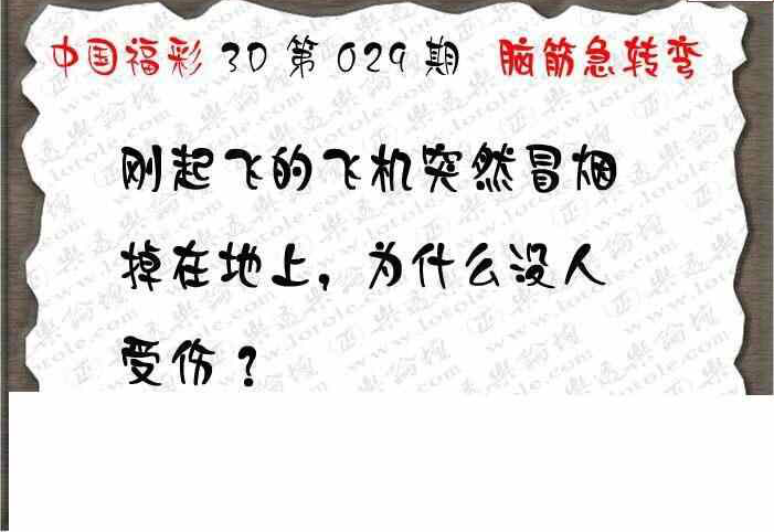 25029期: 3D蝴蝶世家蝴蝶彩图