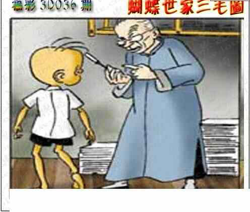 25036期: 3D蝴蝶世家蝴蝶彩图