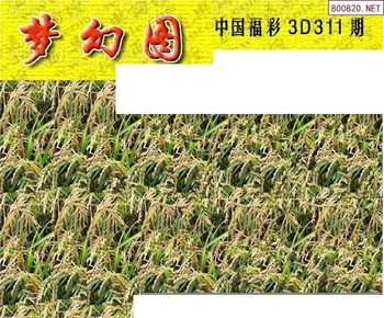 25311期: 3D蝴蝶世家蝴蝶彩图