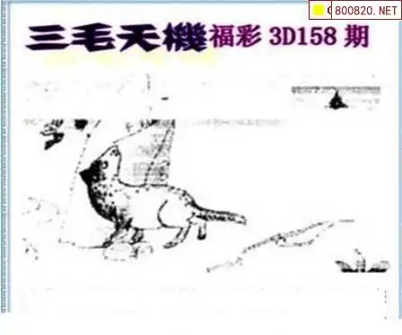 25158期: 三毛3D精品图谜