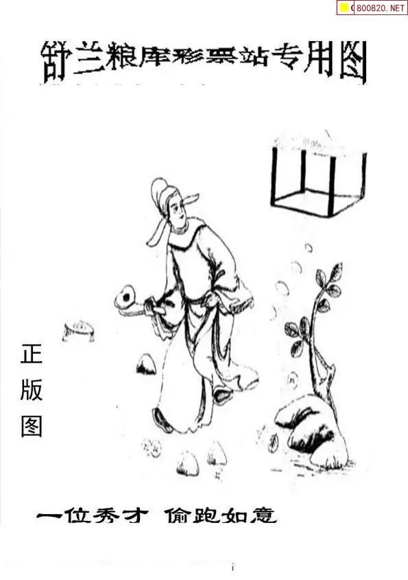 25206期: 老村长福彩3D天天图谜