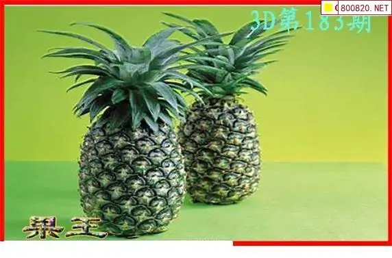 25183期: 白老3D杀码图版