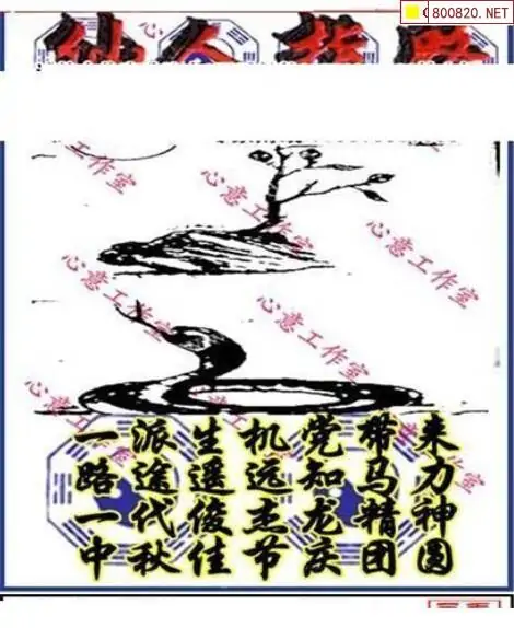 25182期: 三毛3D精品图谜