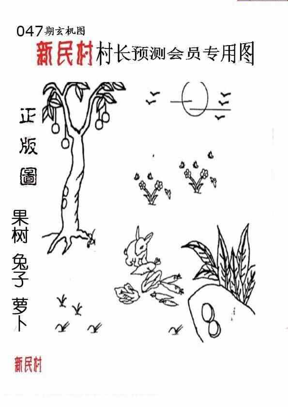 25047期: 老村长福彩3D天天图谜