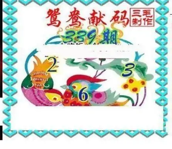 25339期: 三毛3D精品图谜