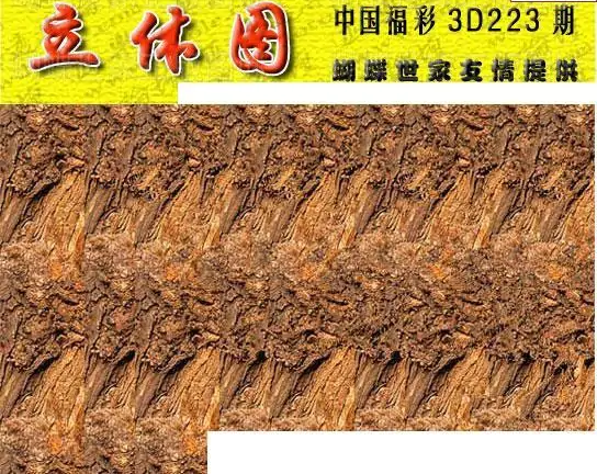 25223期: 3D蝴蝶世家蝴蝶彩图