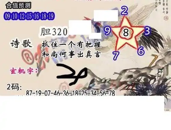 25340期: 白老3D杀码图版