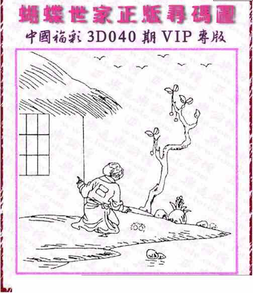 25040��: 3D�������Һ�����ͼ