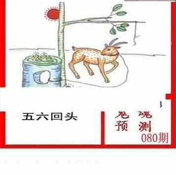 24080期: 白老3D杀码图版