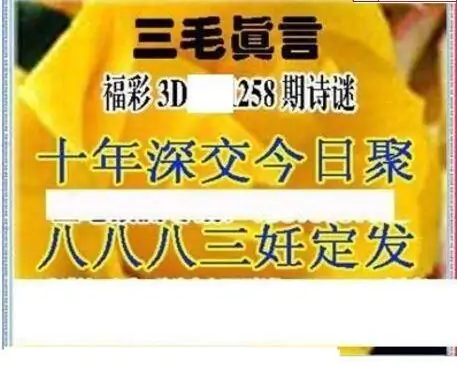 25258期: 三毛3D精品图谜