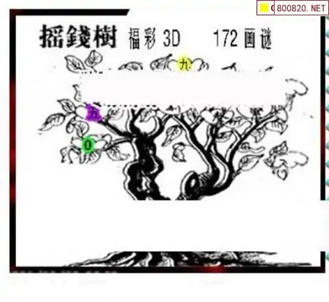 25172期: 三毛3D精品图谜