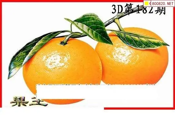 25182期: 白老3D杀码图版