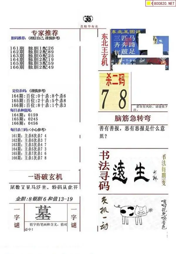 25166期: 福彩3D全套图版参考