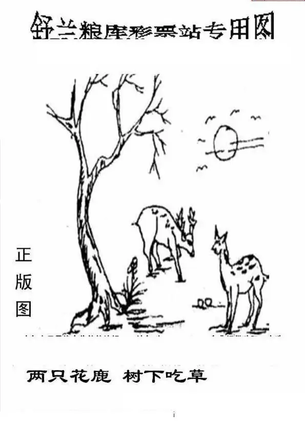 25223期: 老村长福彩3D天天图谜