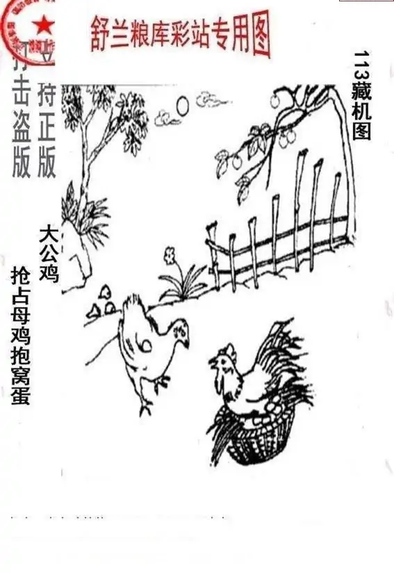 25113期: 老村长福彩3D天天图谜