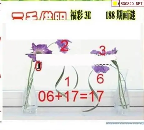 25188期: 三毛3D精品图谜