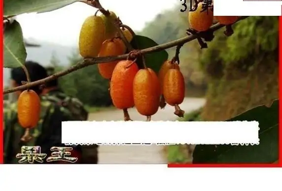 25134��: ����3Dɱ��ͼ��