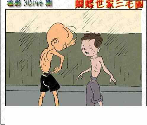 24146期: 3D蝴蝶世家蝴蝶彩图