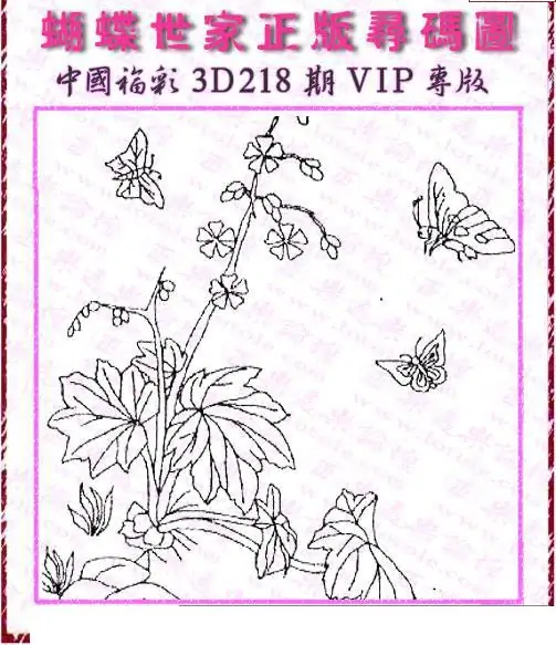25218期: 3D蝴蝶世家蝴蝶彩图
